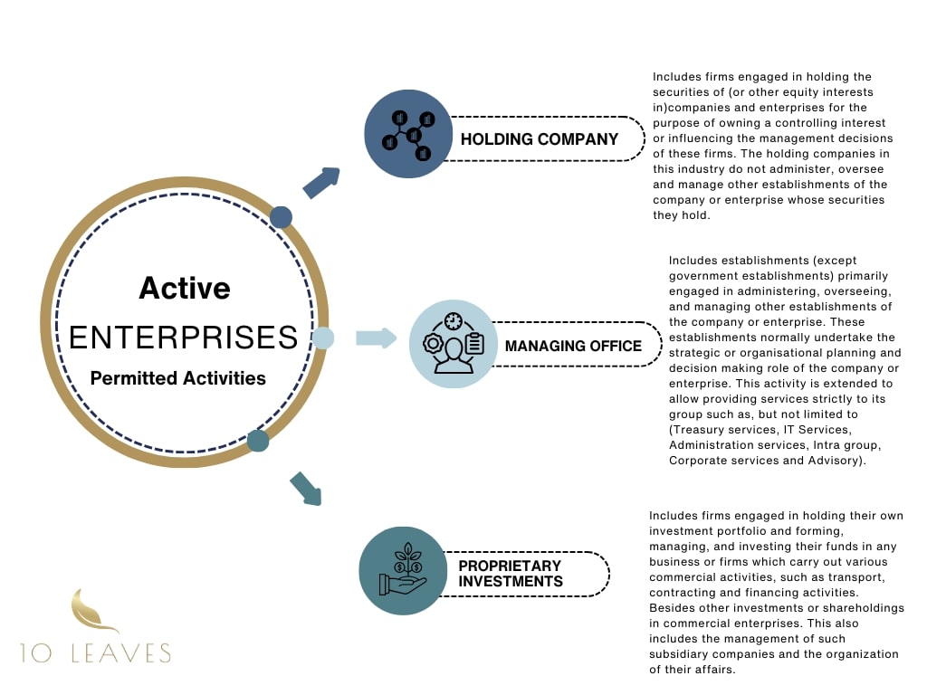 Active Enterprises Permitted Activities